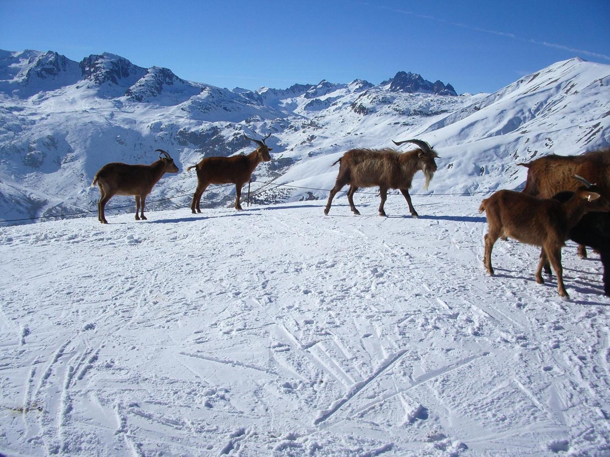 Chambre D'Hotes Kiki & Coco Saint-Jean-de-Maurienne Exteriér fotografie